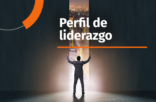 Perfil Liderazgo